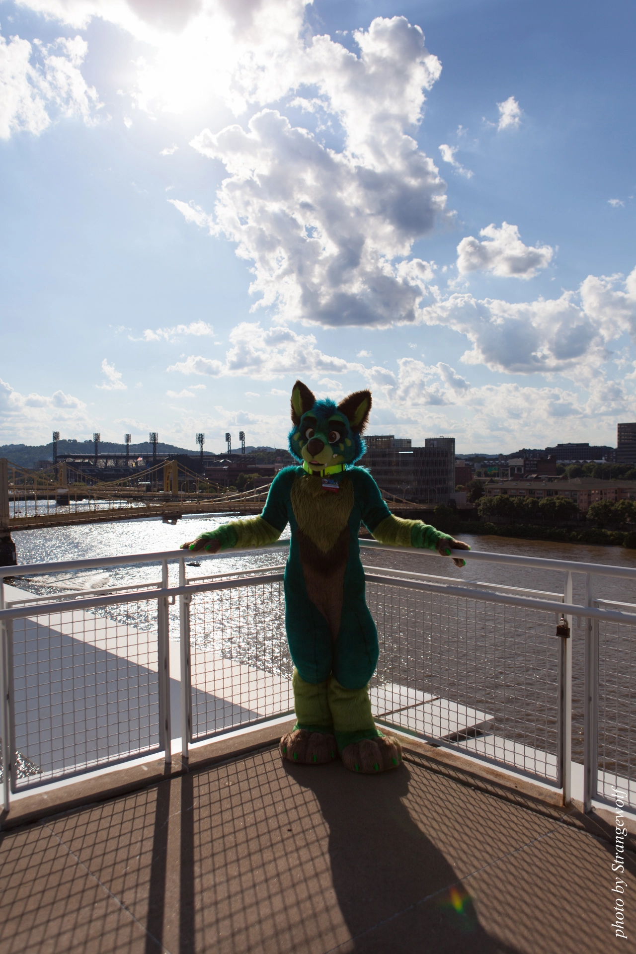 full image IMG_5095-lr19t.jpg