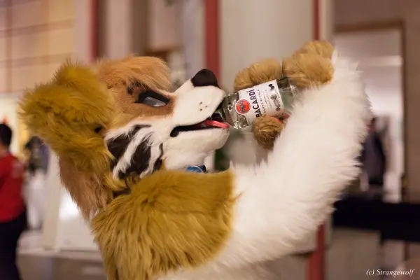 IMG_0909-lr19t.jpg of NFC/NFC2018/