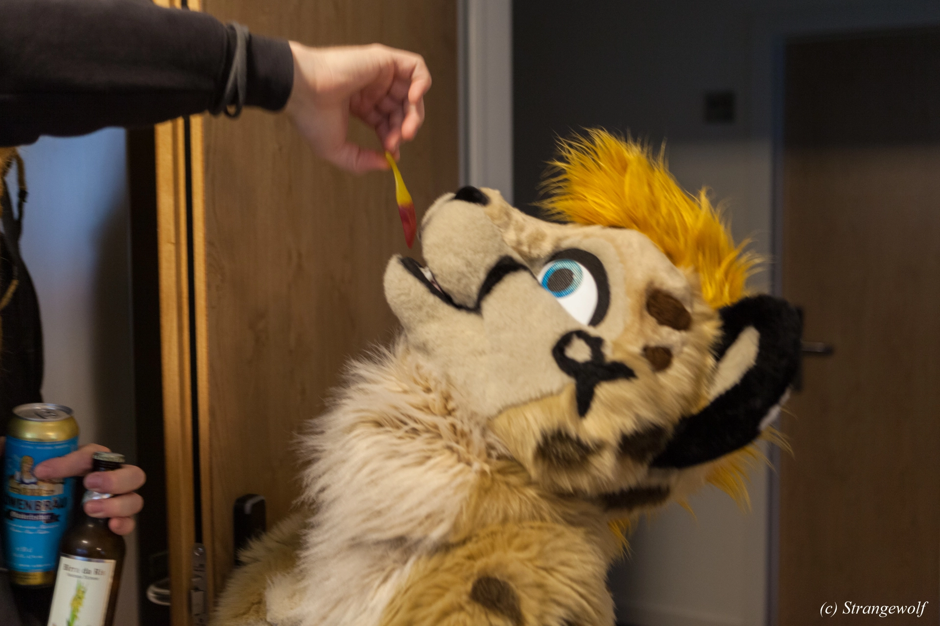 full image IMG_6994-lr19t.jpg