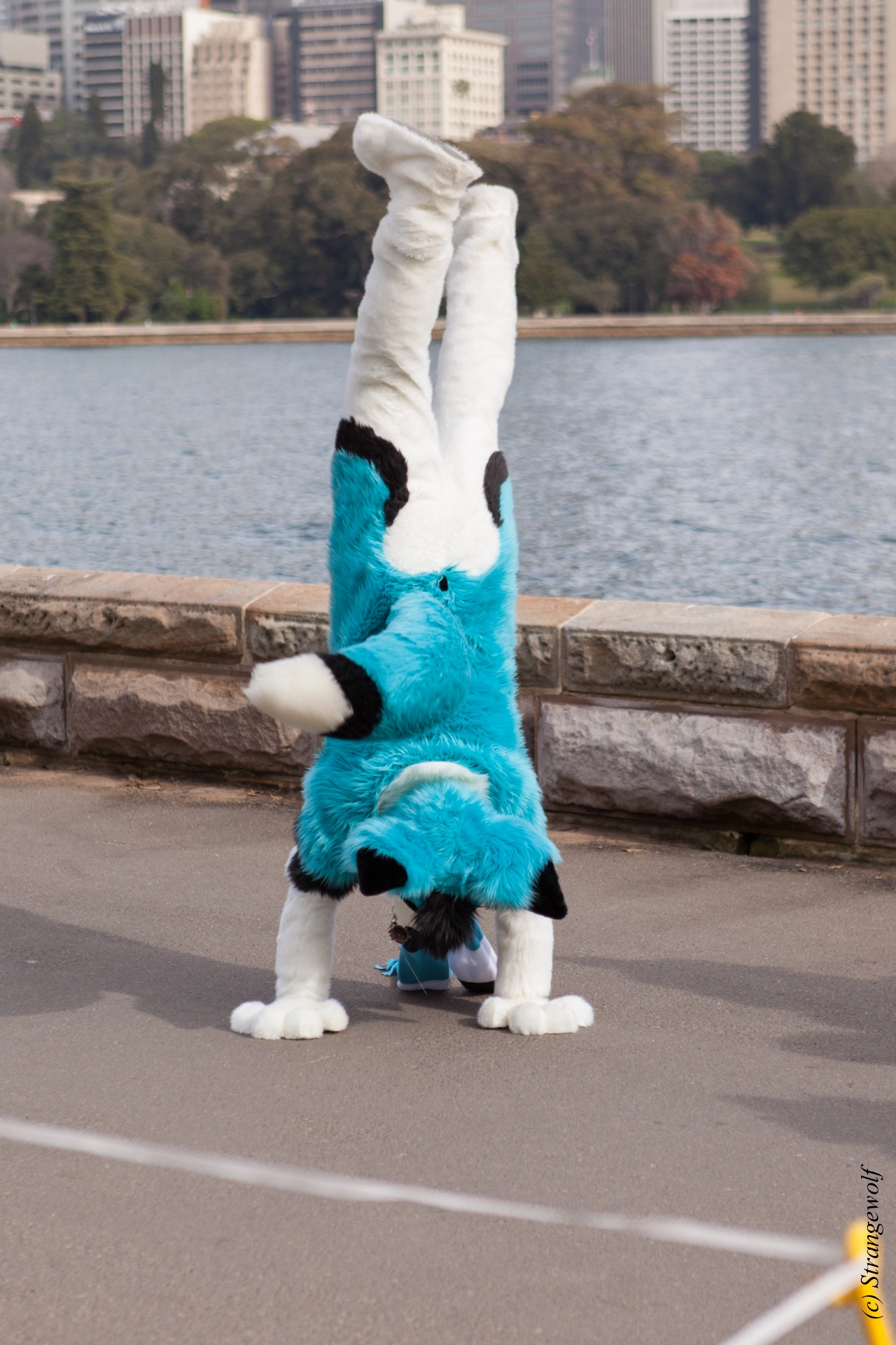 full image IMG_4330-lr19t.jpg