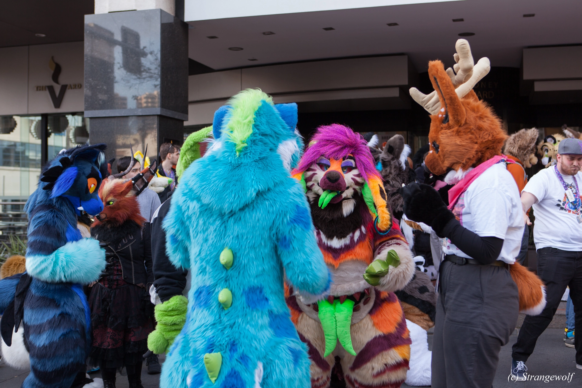 full image IMG_4567-lr19t.jpg