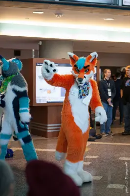 IMG_1044-lr16t.jpg of FC/FC2017/