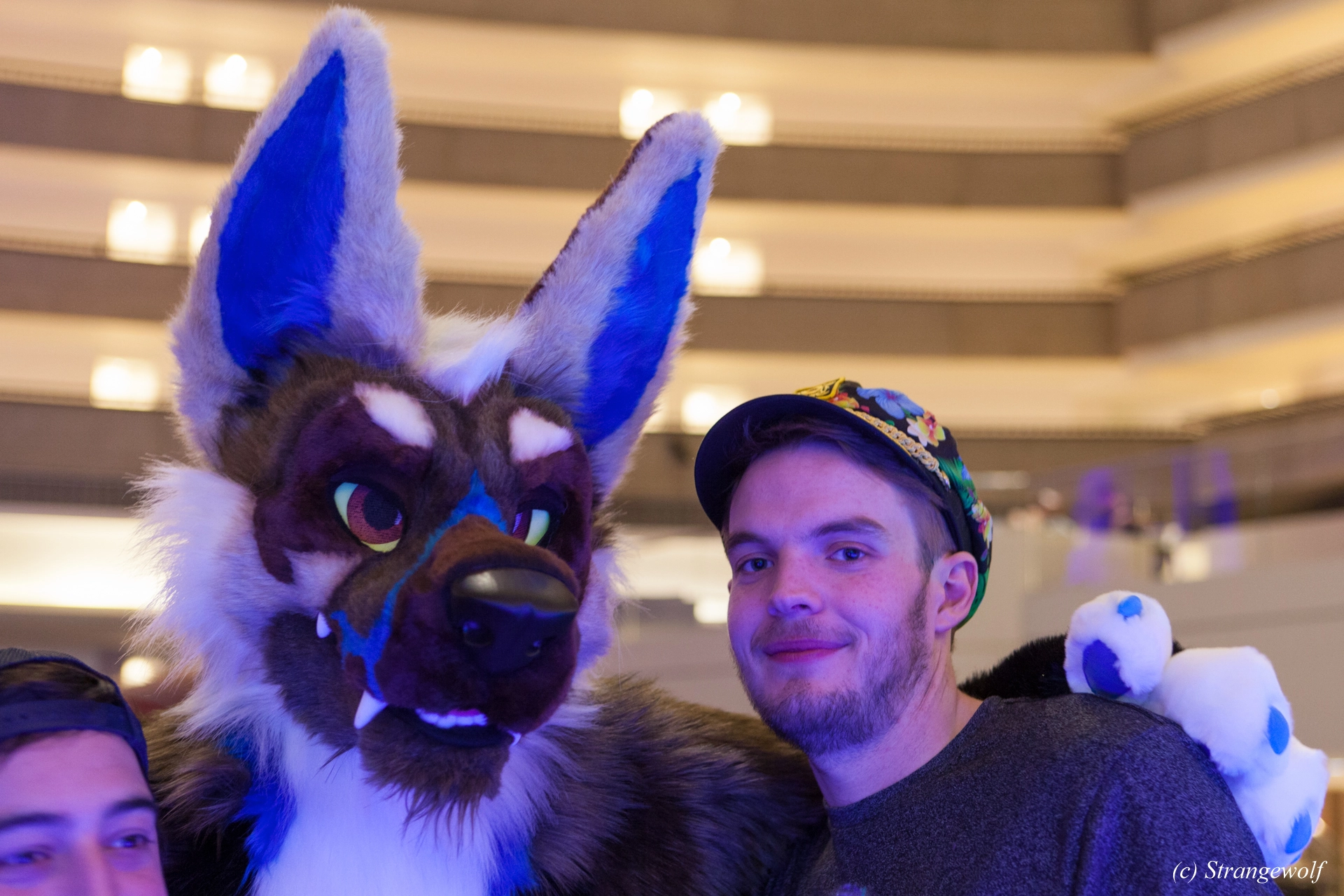 full image IMG_1312-lr19t.jpg