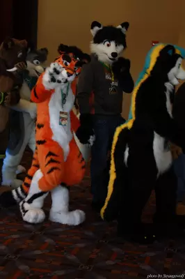 IMG_0507-lr.jpg of MFF/MFF2013/