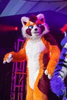 1R3A0771-lr19t.jpg of MFF/MFF2025/