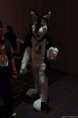 IMG_0946-lr.jpg of MFF/MFF2013/