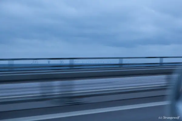 IMG_0023-lr19t.jpg of NFC/NFC2019/