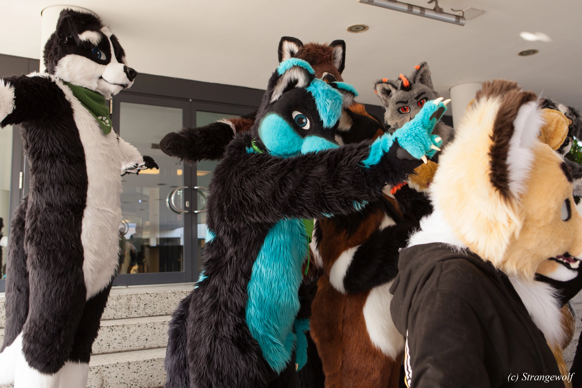 full image IMG_4924-lr19t.jpg