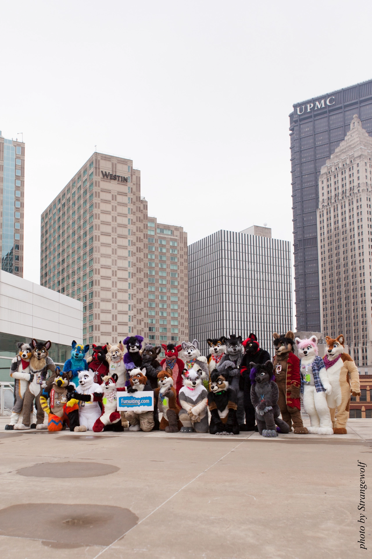 full image IMG_9617-lr19t.jpg