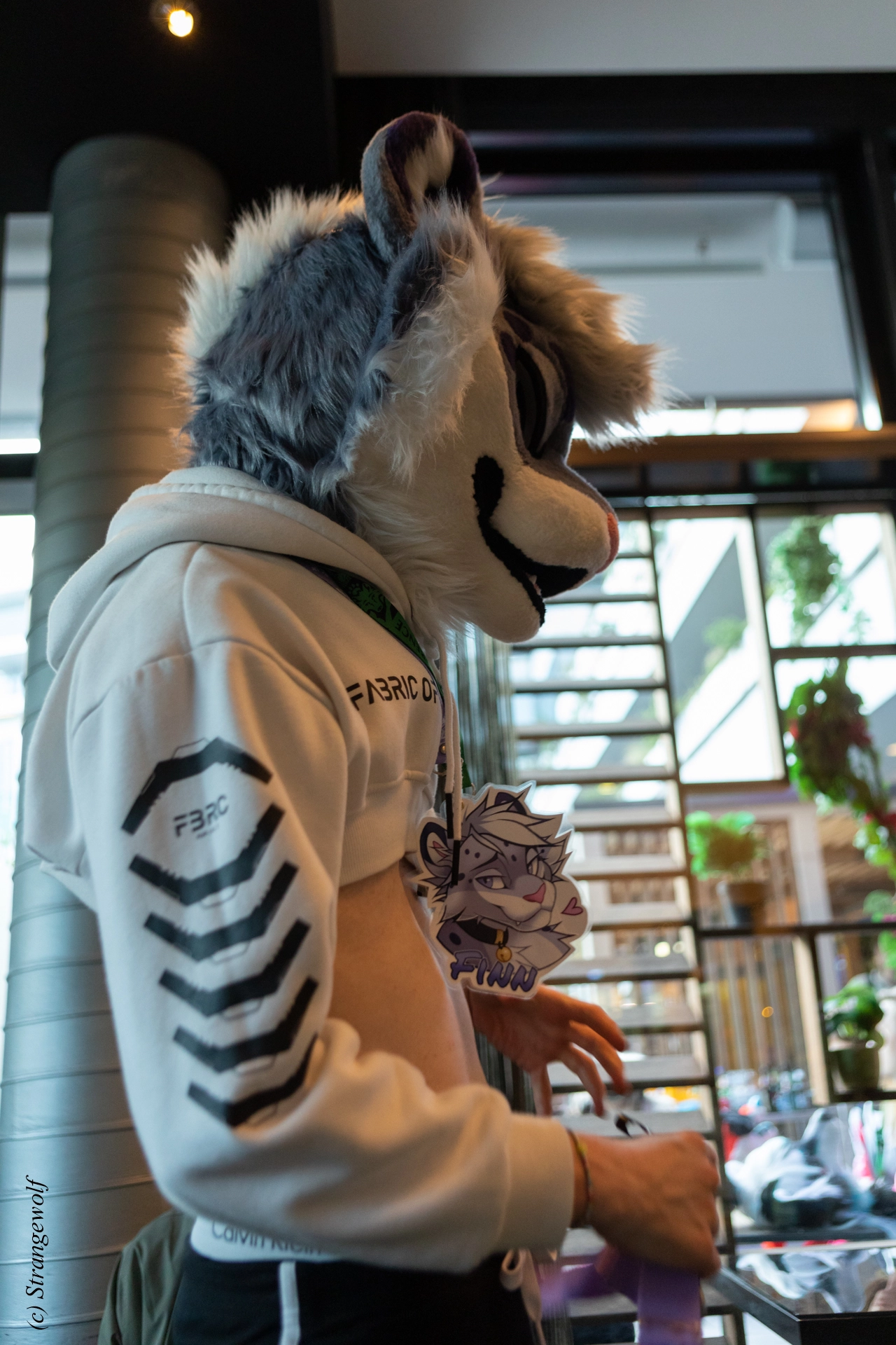 full image 1R3A9357-lr19t.jpg