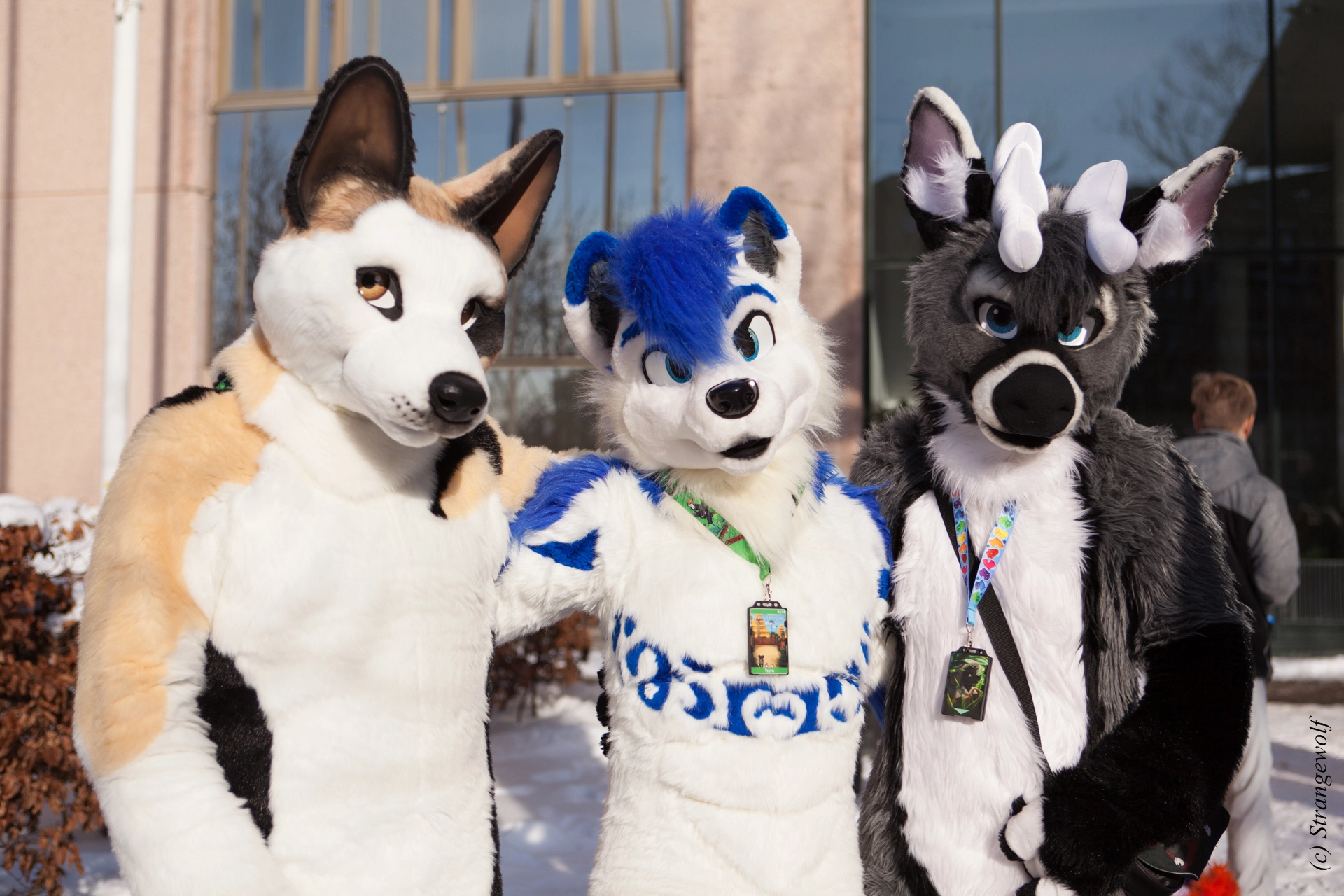 full image IMG_9625-lr19t.jpg