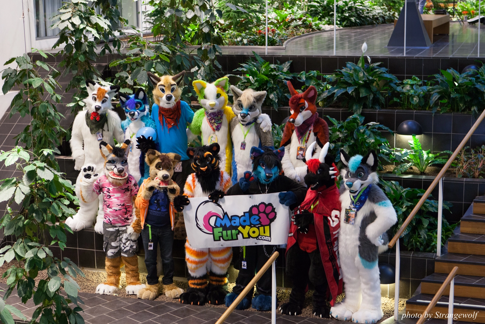 full image IMG_1709-lr16t.jpg