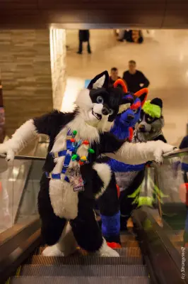 IMG_6607-lr.JPG of MFF/MFF2015/
