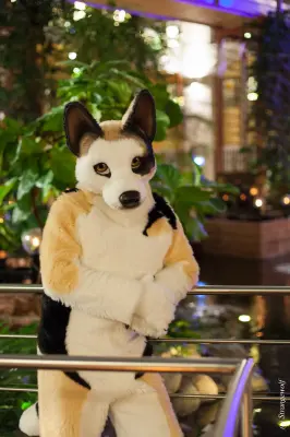 IMG_9794-lr19t.jpg of NFC/NFC2019/