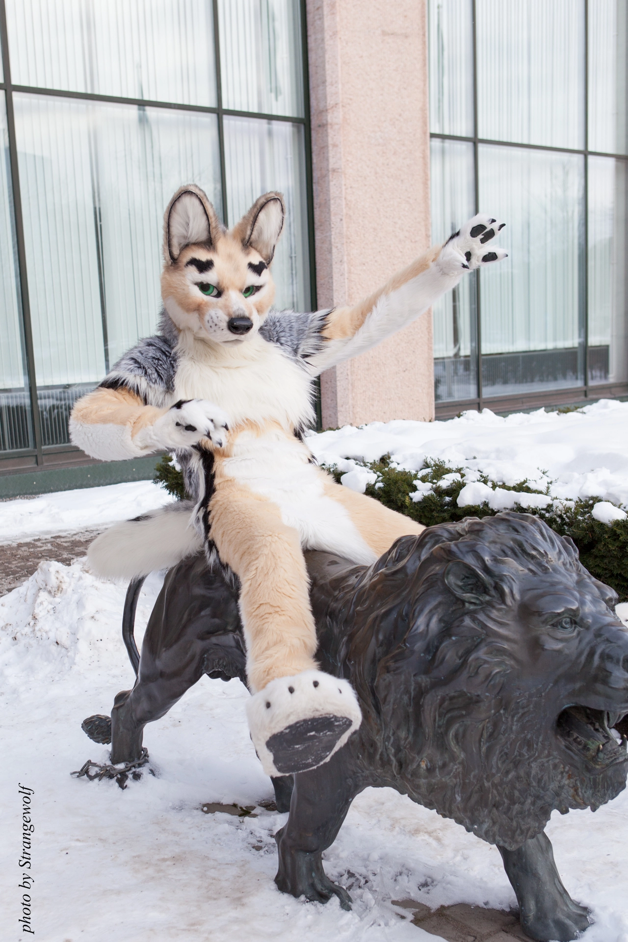 full image IMG_0340-lr19t.jpg