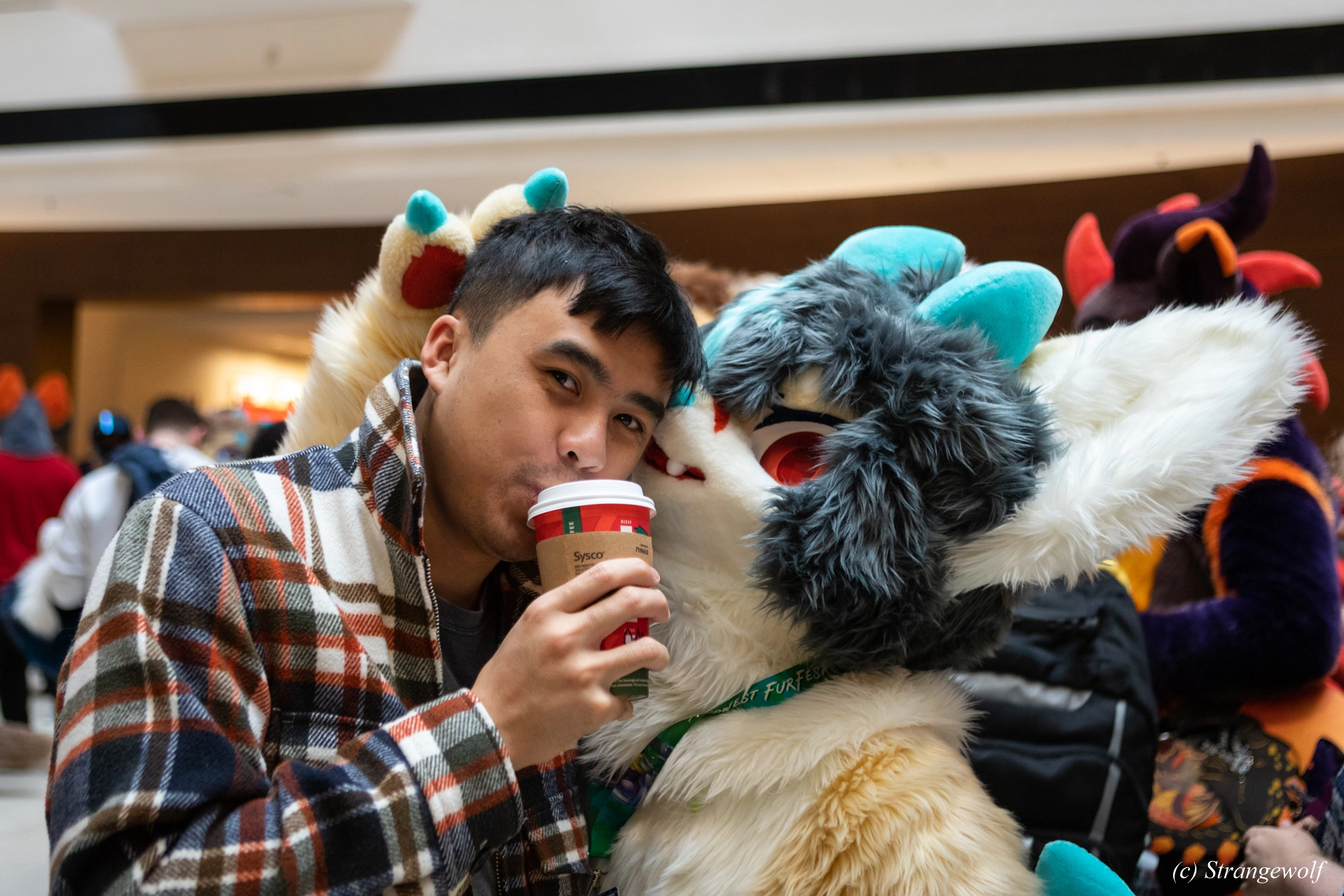 full image 1R3A0187-lr19t.jpg