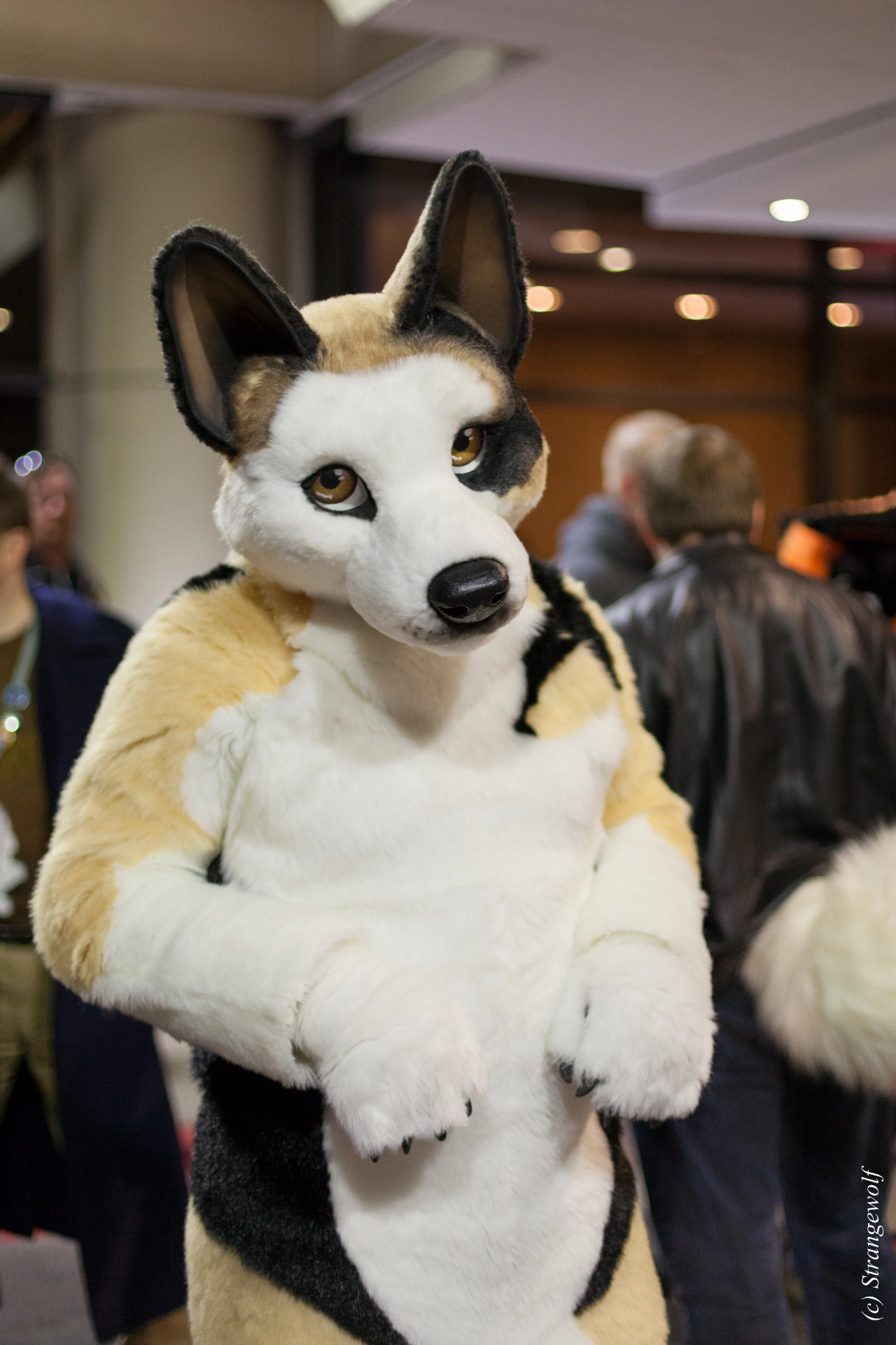 full image IMG_8104-lr19t.jpg