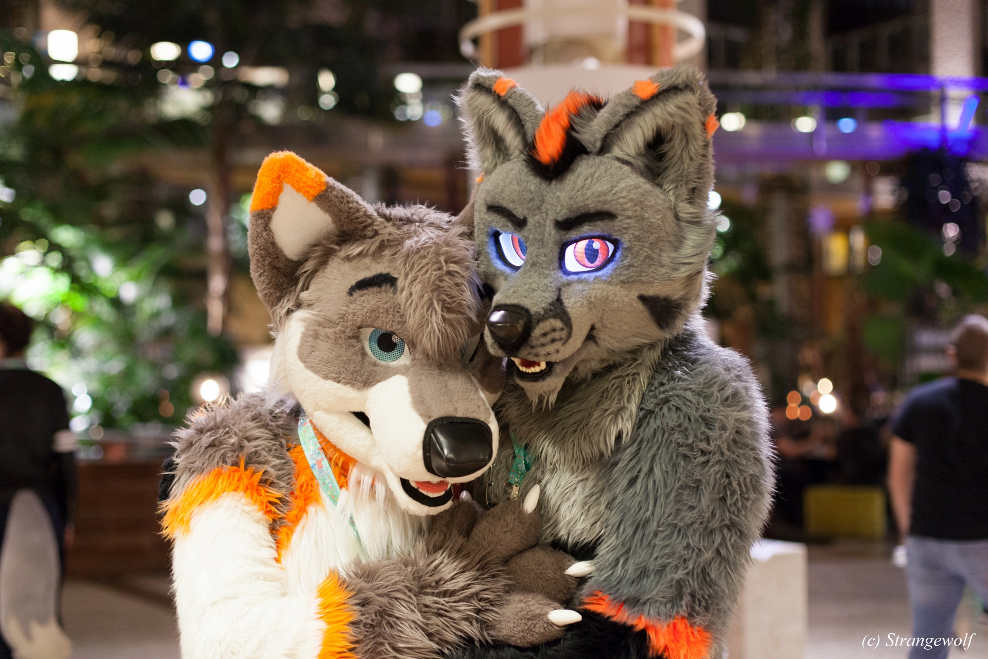 full image IMG_9126-lr19t.jpg