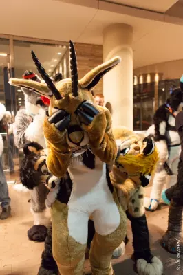 IMG_7013-lr19t.jpg of MFF/MFF2018/