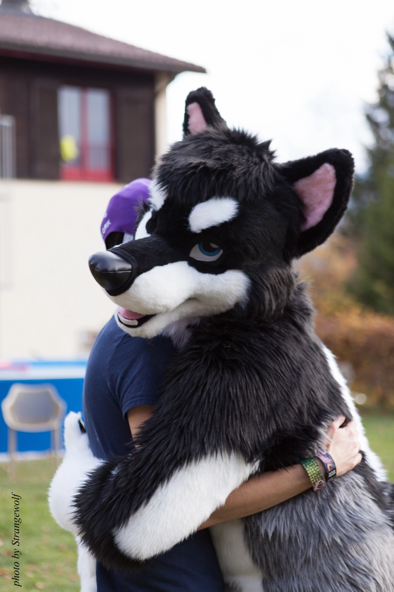 full image IMG_7944-lr19t.jpg