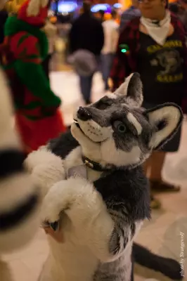 IMG_0733-lr16t.jpg of MFF/MFF2016/