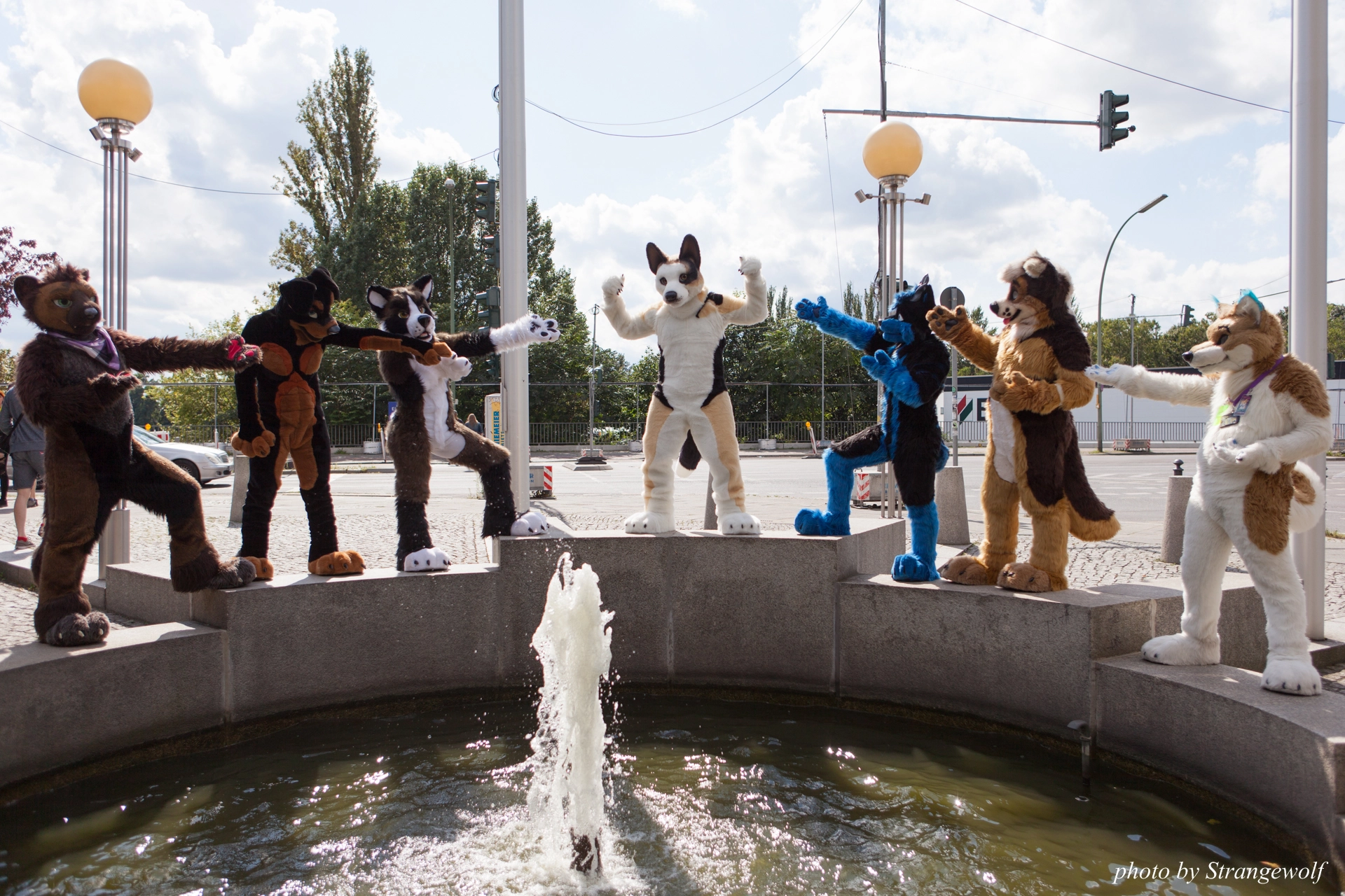 full image IMG_7189-lr19t.jpg