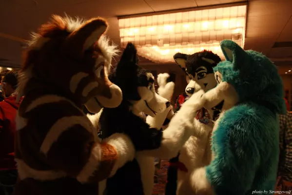 IMG_1118-lr.jpg of MFF/MFF2013/