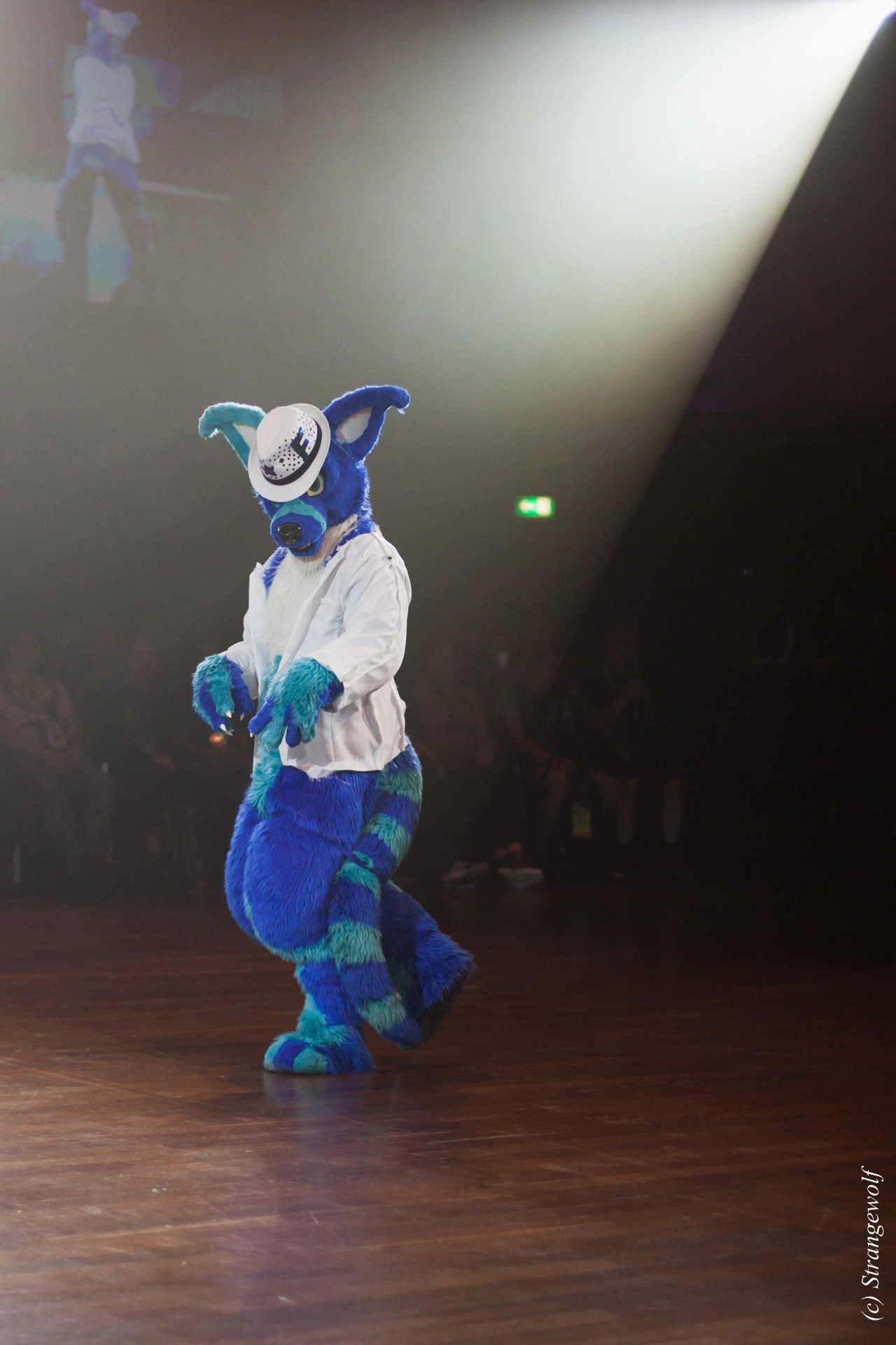 full image IMG_6394-lr19t.jpg