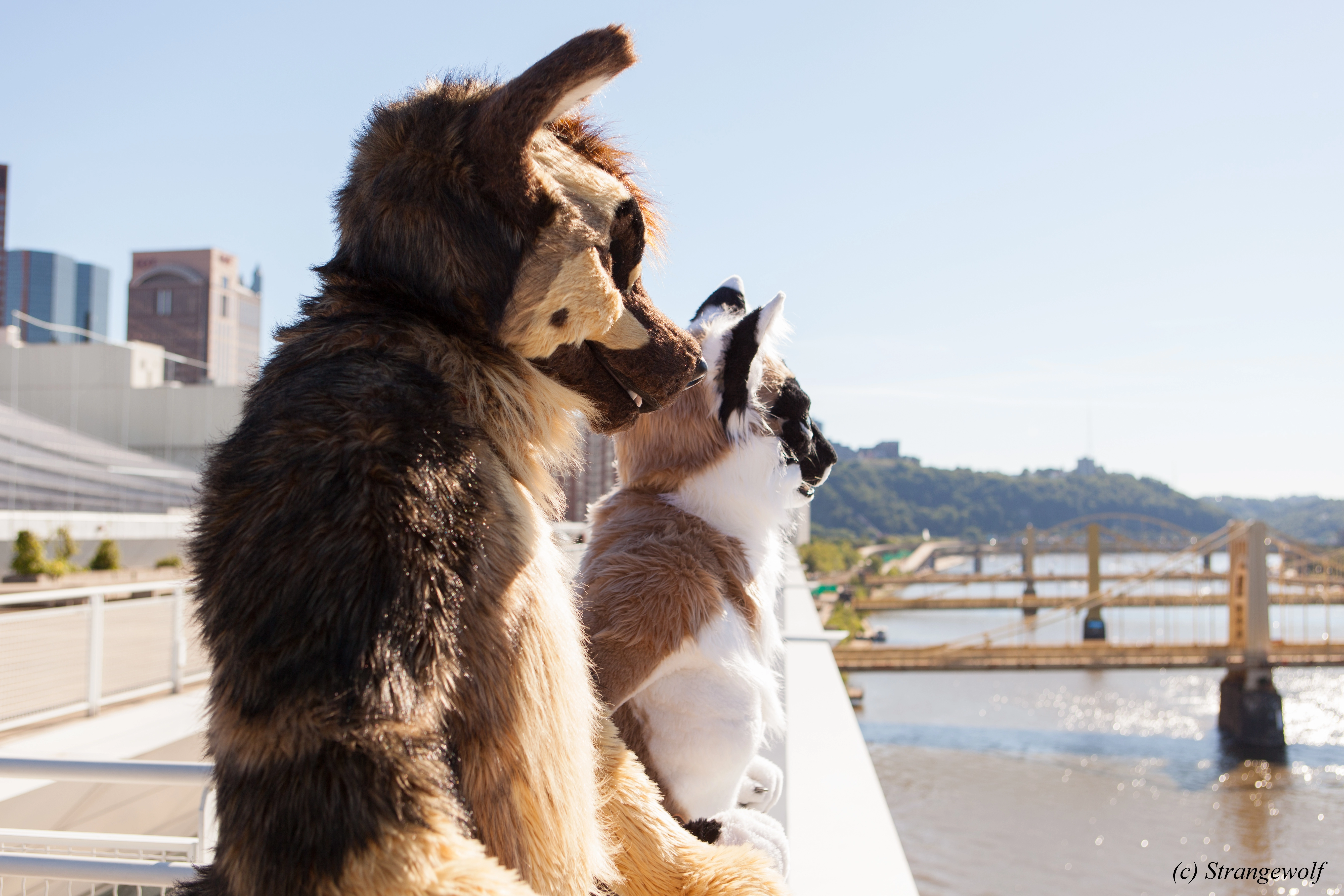 full image IMG_4293-lr.jpg