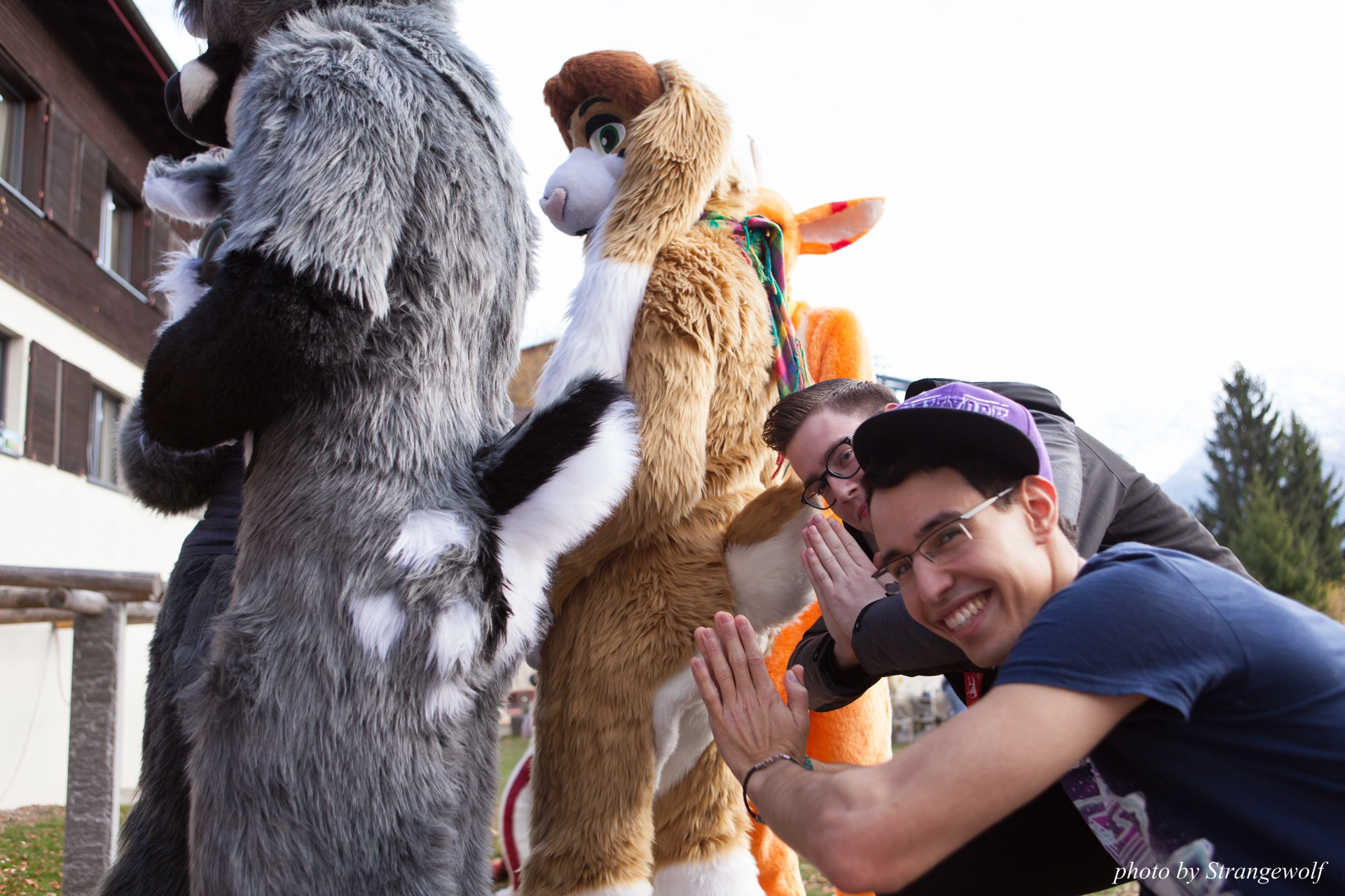 full image IMG_7893-lr19t.jpg