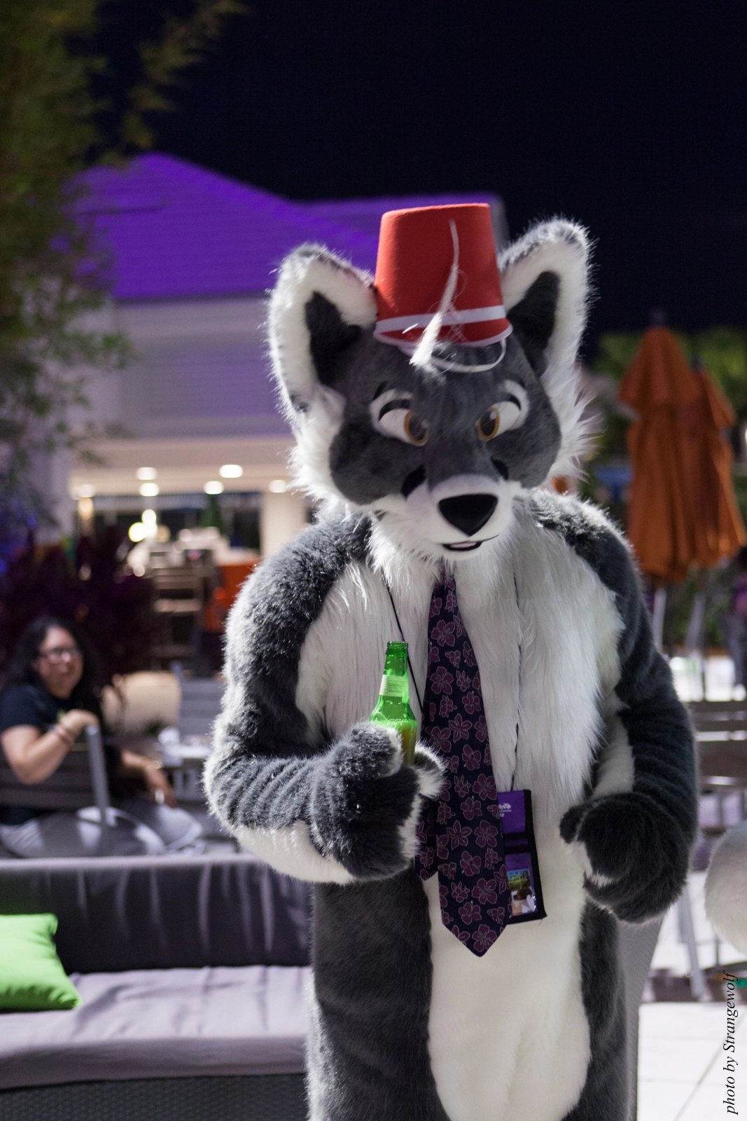 full image IMG_8569-lr16t.jpg