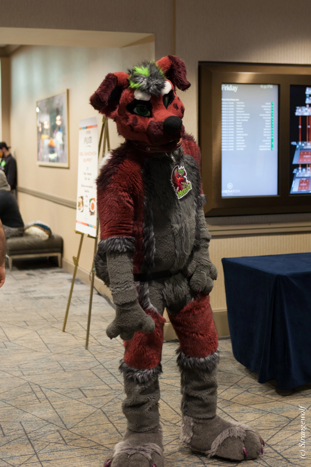 full image IMG_3855-lr19t.jpg