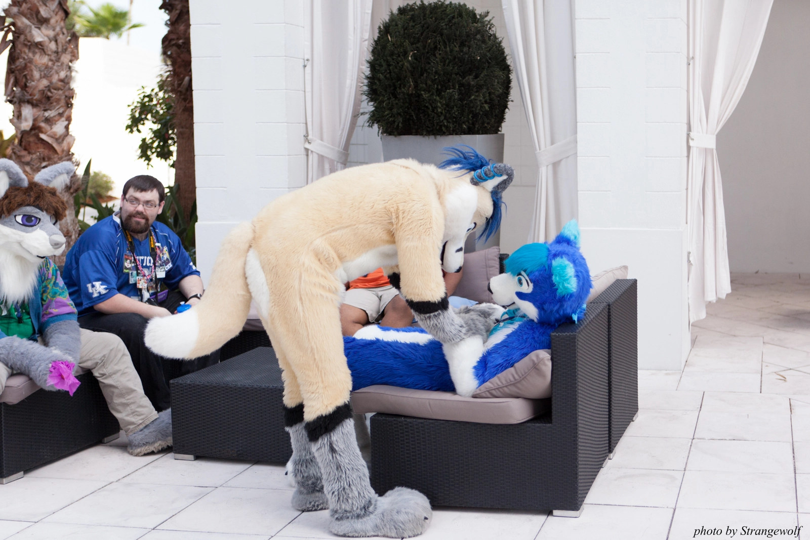 full image IMG_8250-lr16t.jpg