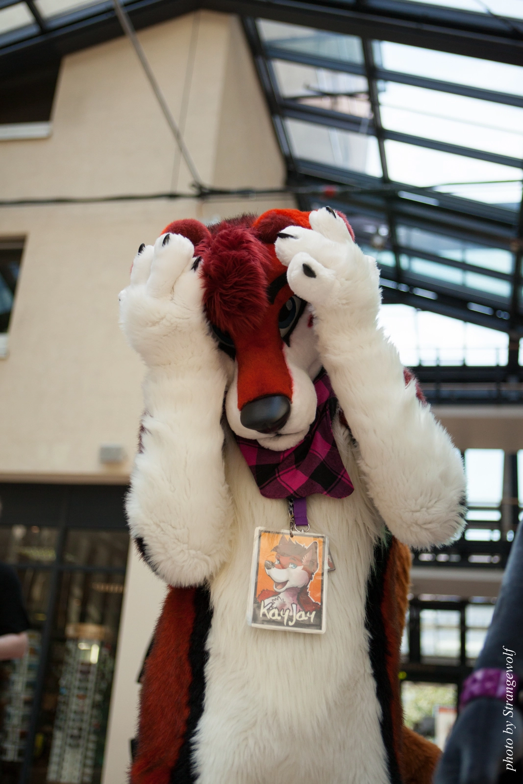full image IMG_2084-lr16t.jpg