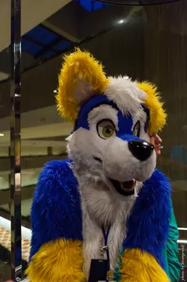 IMG_6517-lr16t.jpg of MFF/MFF2014/