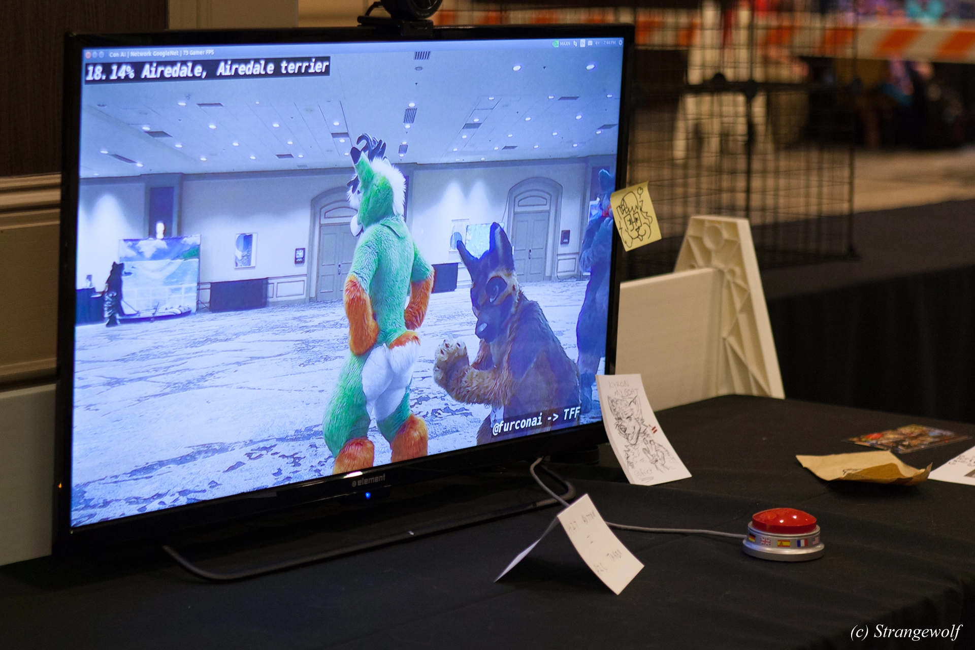full image IMG_4174-lr19t.jpg