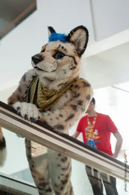 IMG_0405-lr19t.jpg of NFC/NFC2018/OFA-Shoot/