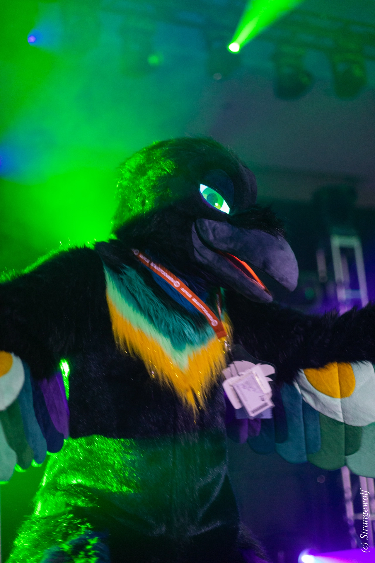 full image 1R3A0555-lr19t.jpg