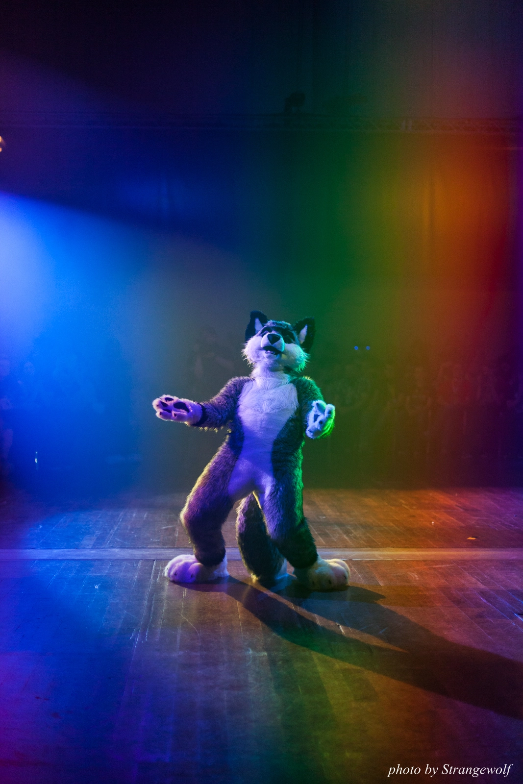 full image IMG_2952-lr16t.jpg