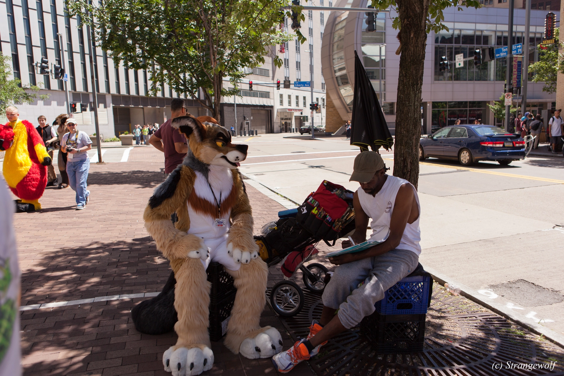 full image IMG_4063-lr19t.jpg