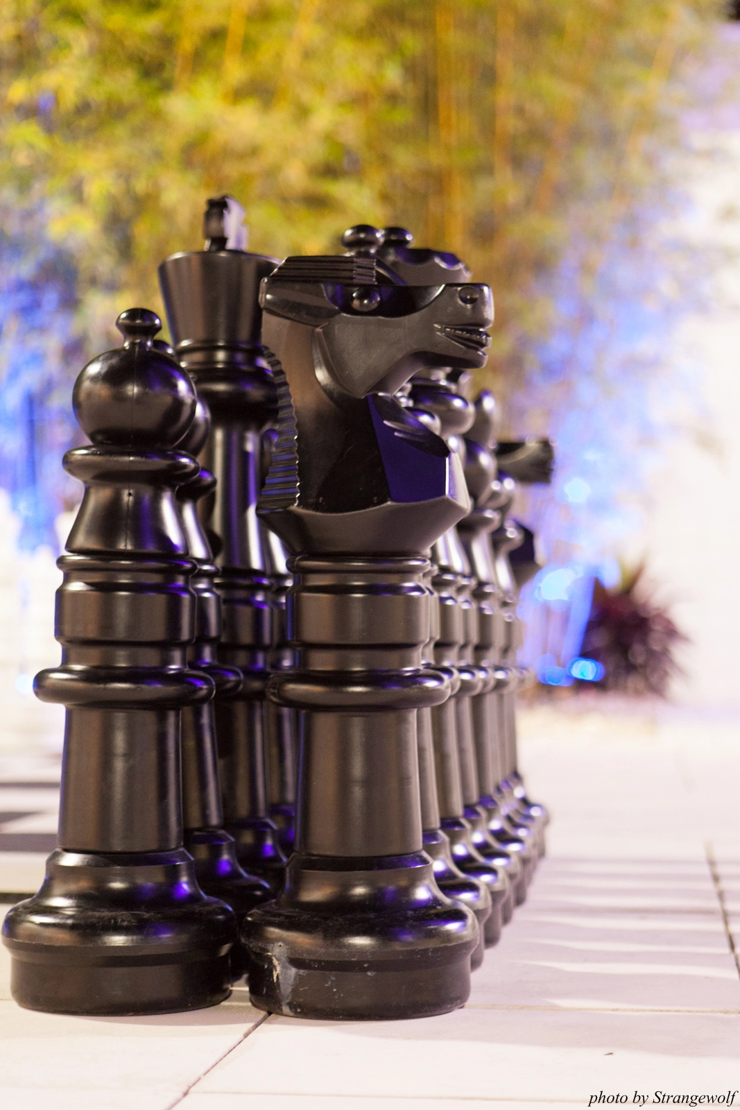 full image IMG_8028-lr16t.jpg