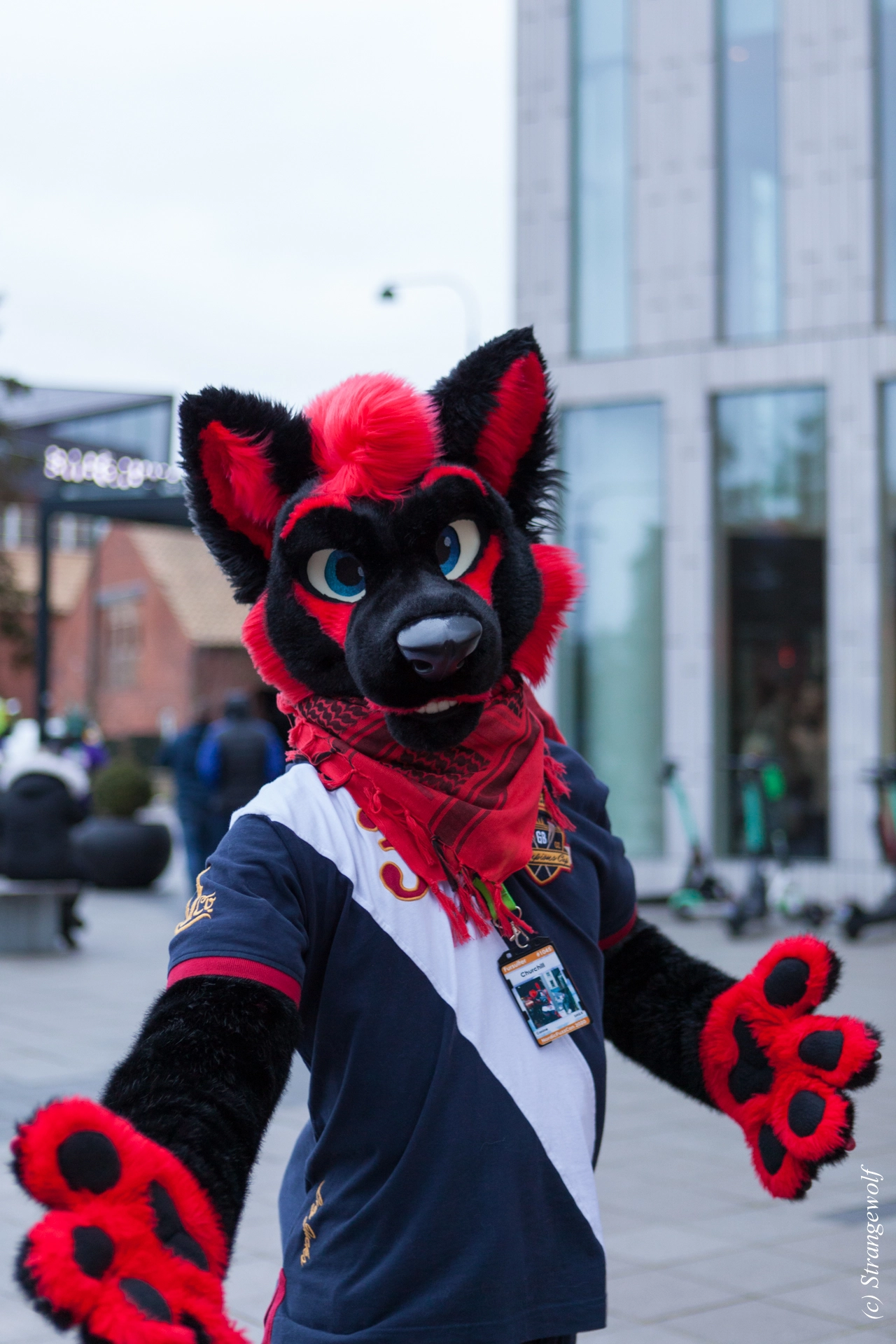 full image IMG_8600-lr19t.jpg