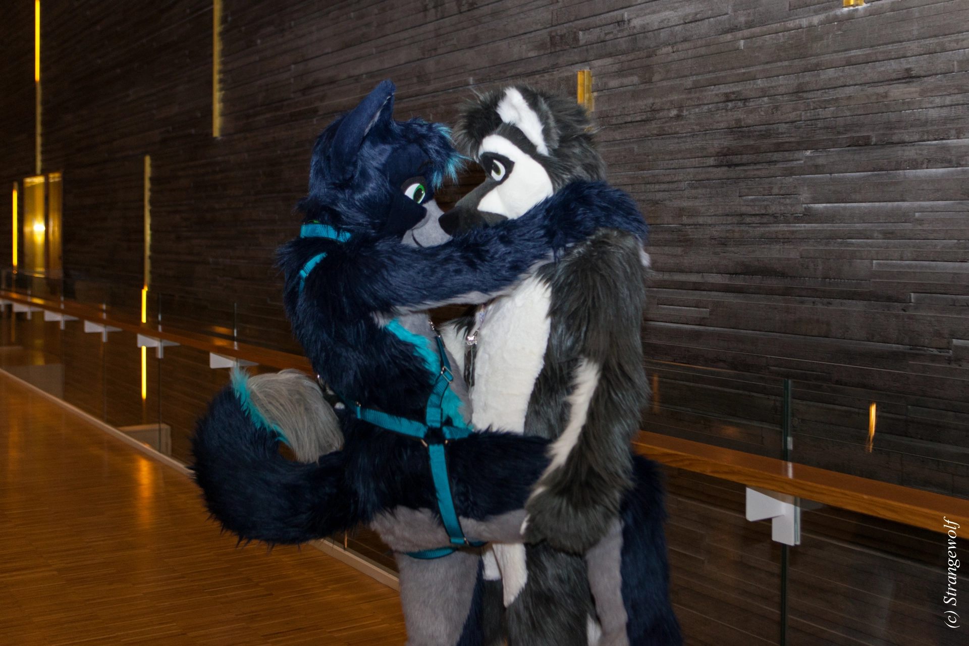 full image IMG_8267-lr19t.jpg