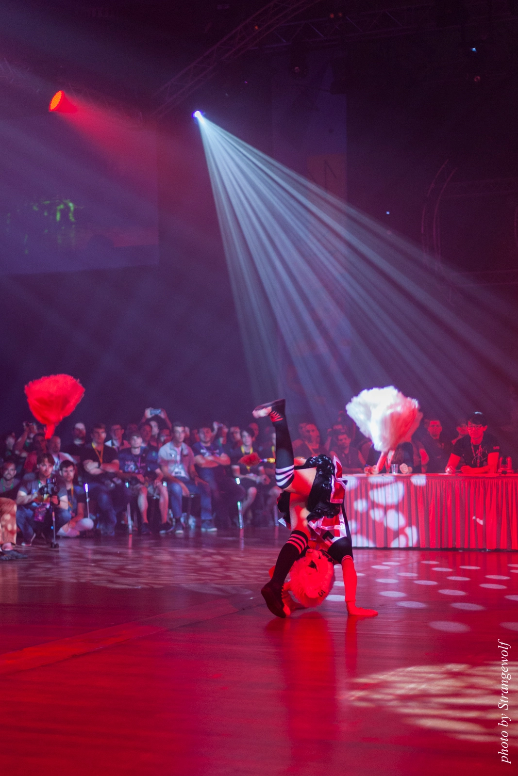 full image IMG_9059-lr16t.jpg