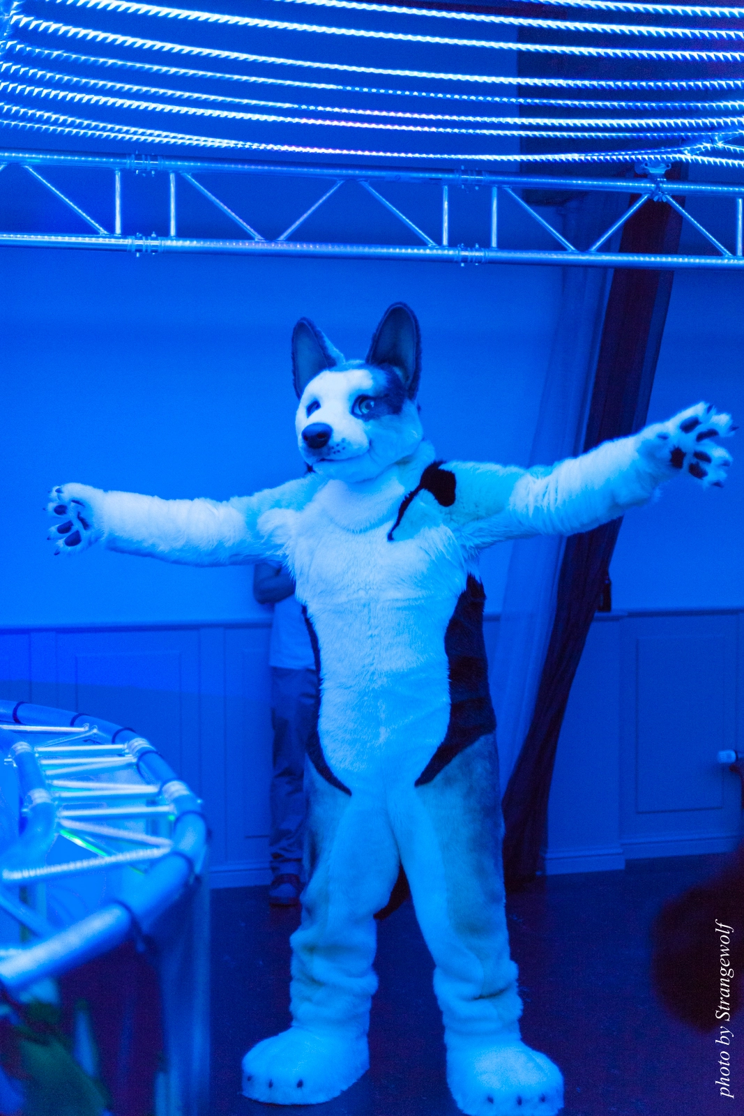 full image IMG_5445-lr16t.jpg