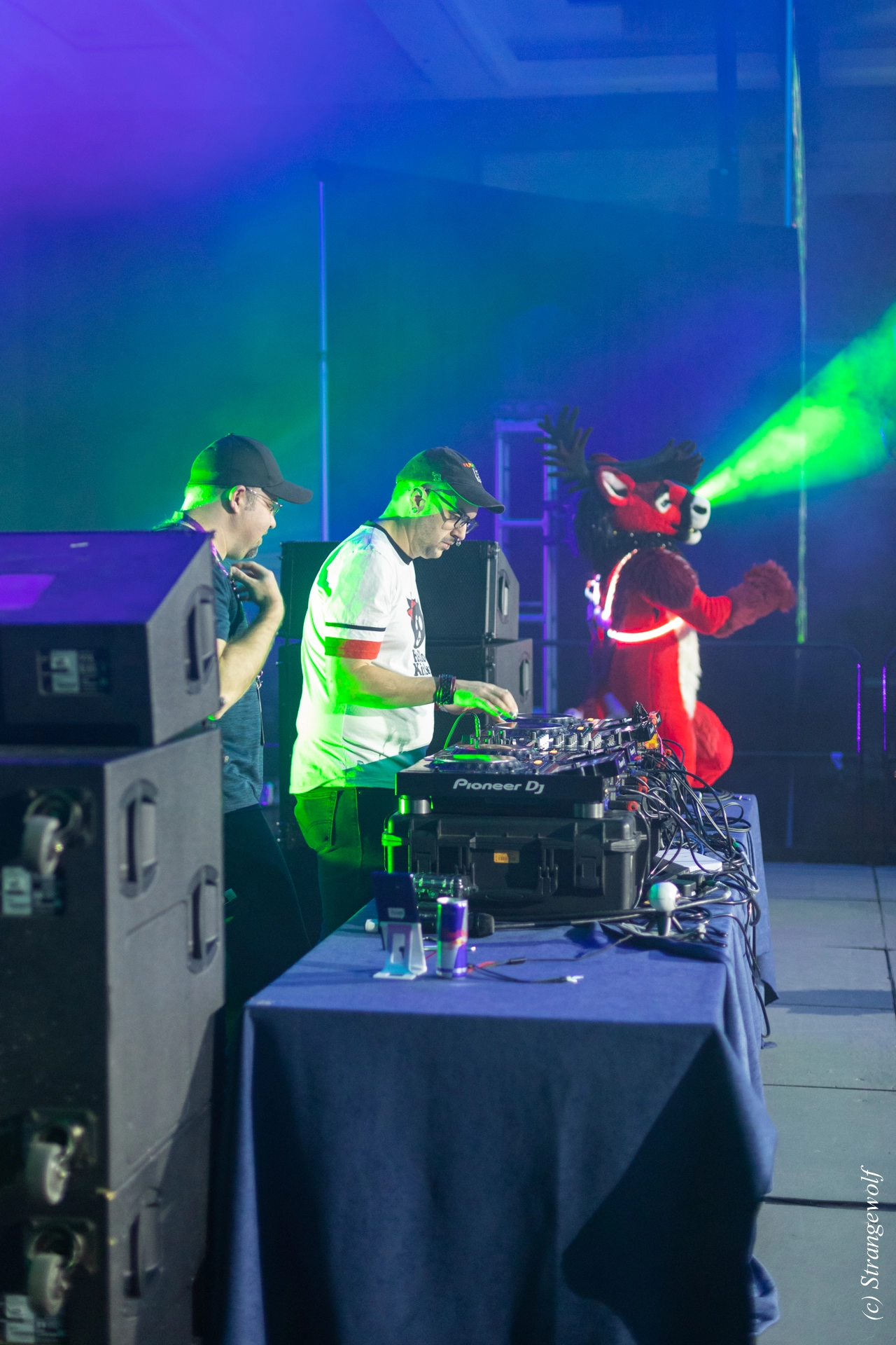 full image 1R3A0435-lr19t.jpg