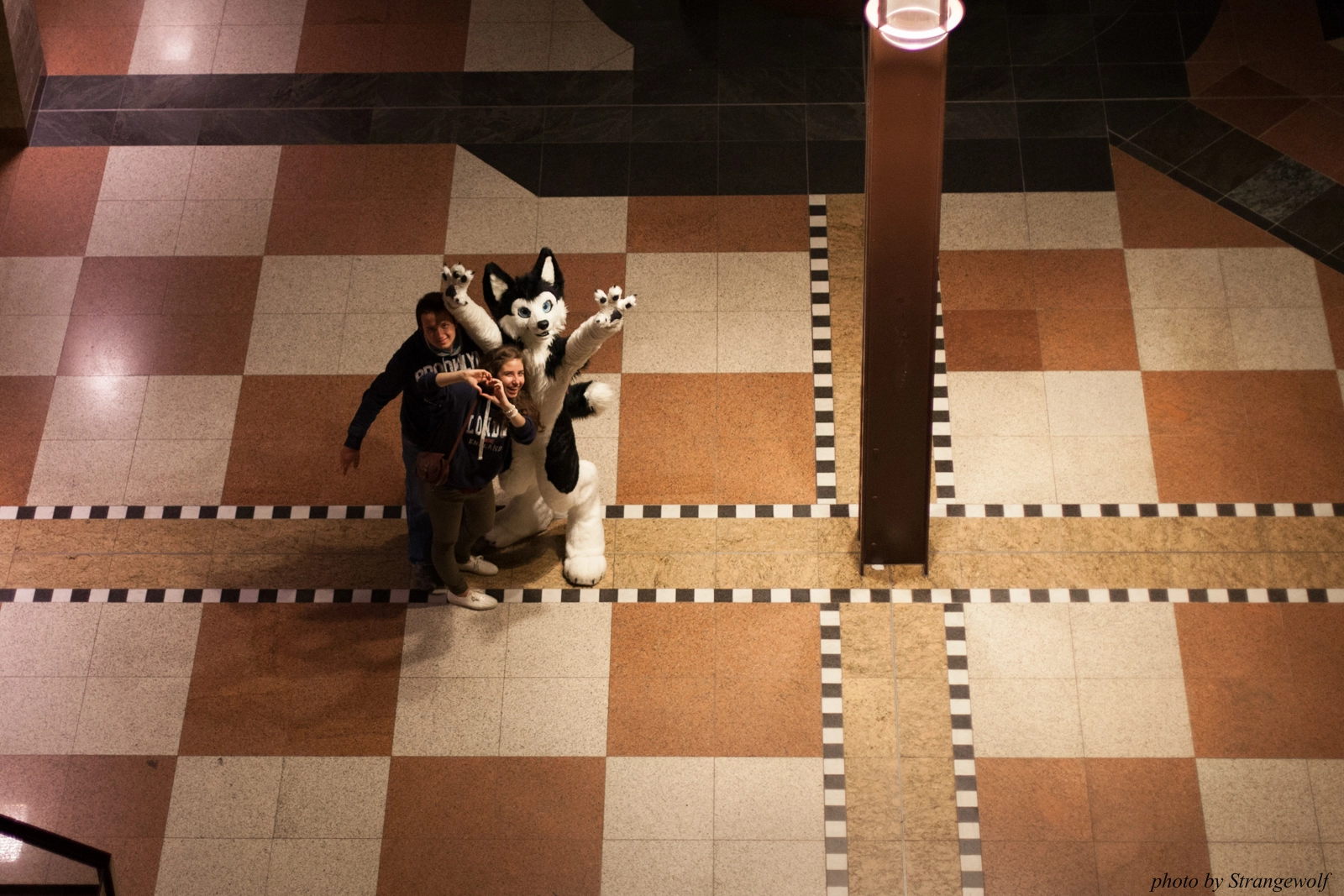 full image IMG_1286-lr16t-2.jpg