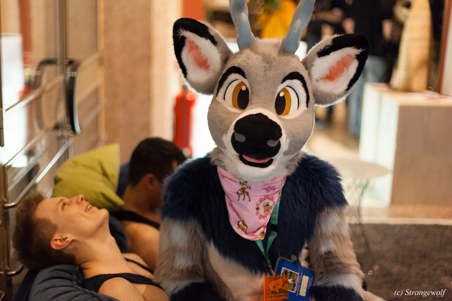 full image IMG_9760-lr19t.jpg