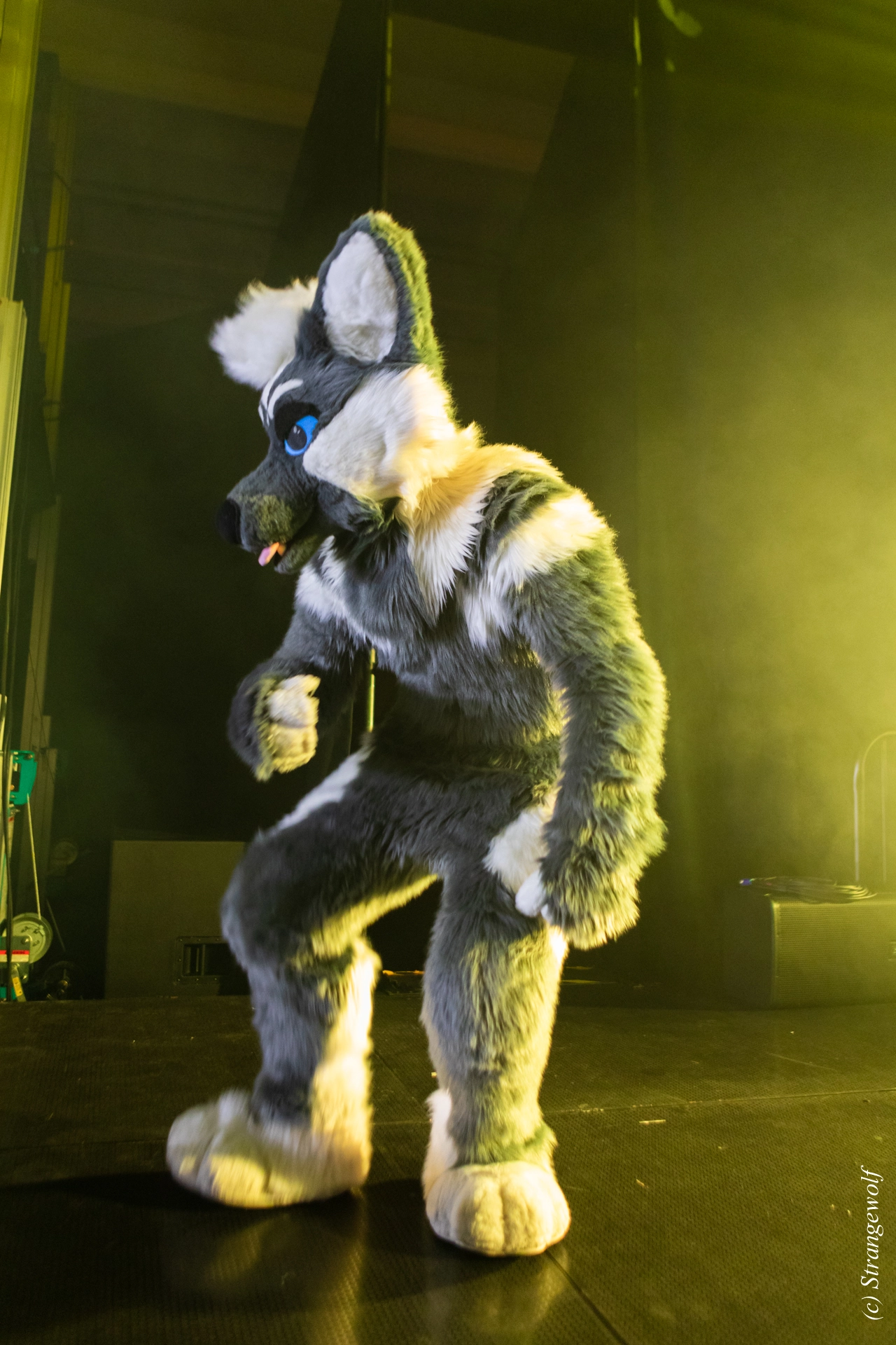 full image 1R3A4883-lr19t.jpg