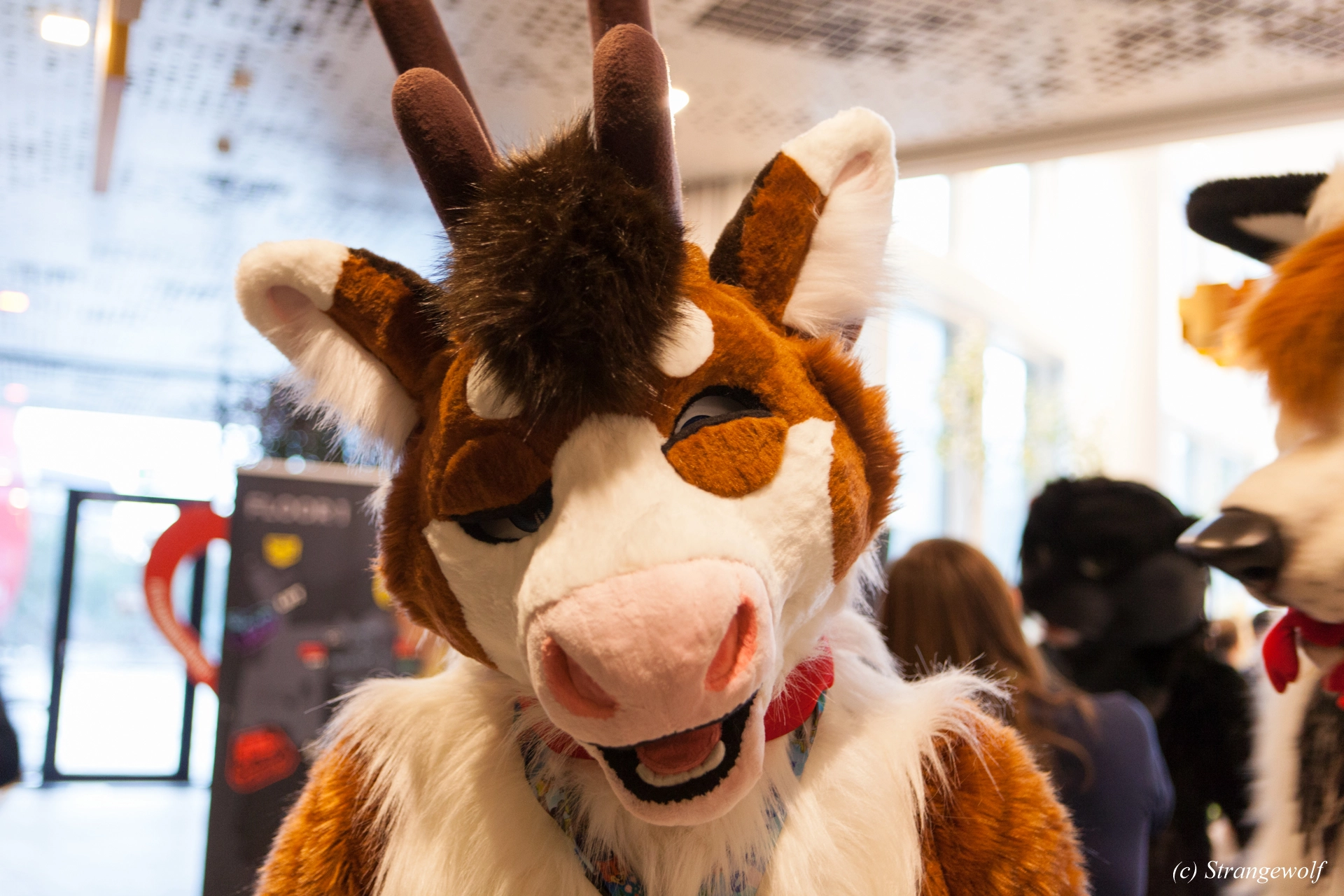 full image IMG_9066-lr19t.jpg